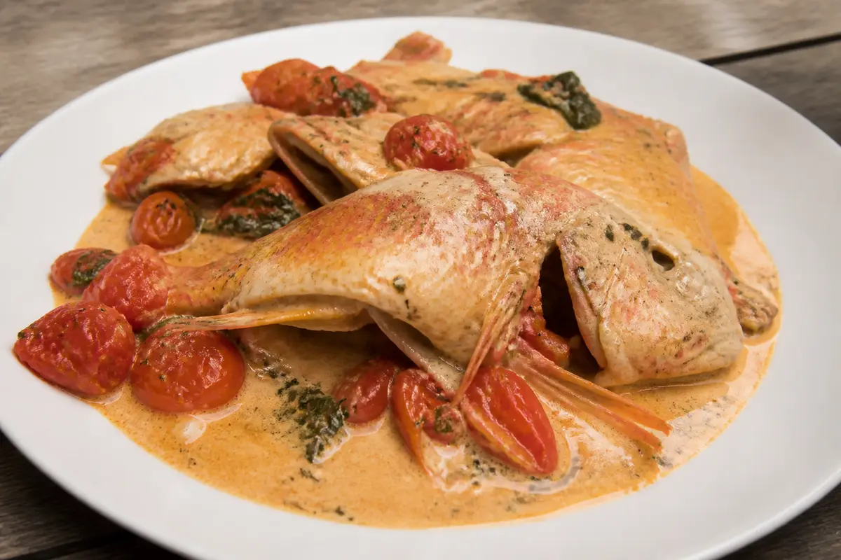 Recettes de roussettes : Comment les cuisiner à la crème ou tomate ?